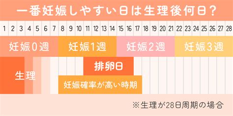 妊娠しやすい体位|妊娠しやすい体位とは？妊娠の確率を上げるための過。